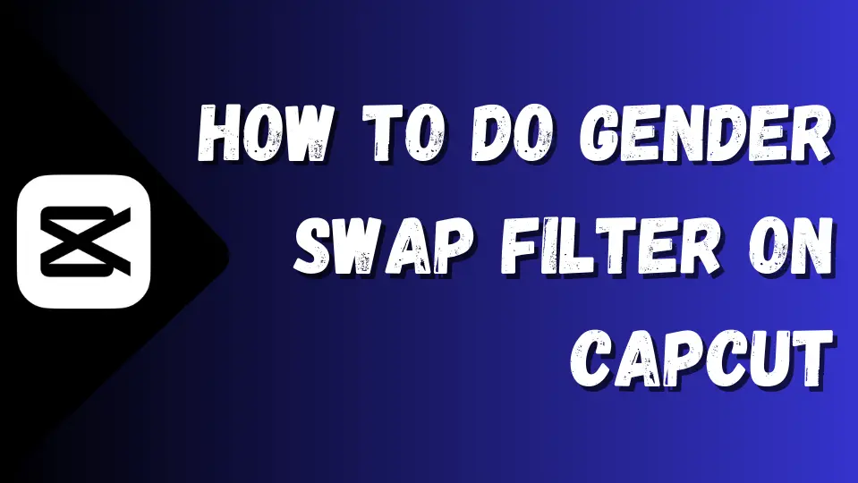 How To Do Gender Swap Filter On Capcut